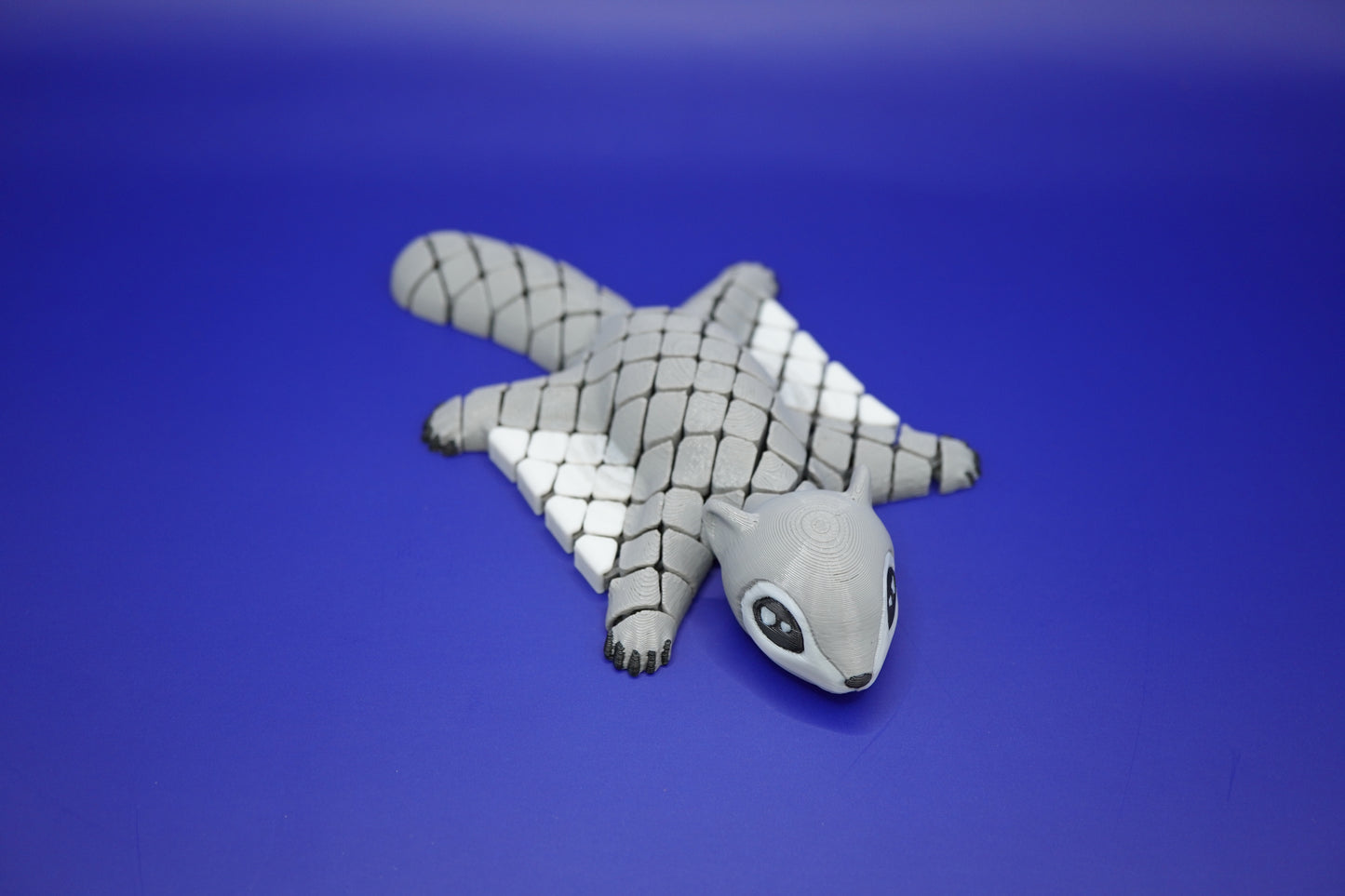 Adri La Ardilla Voladora - Ultra sensorial