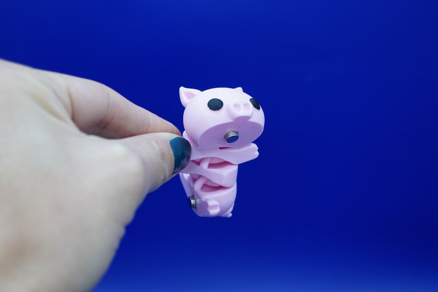 Bruce El Cerdo Magneto