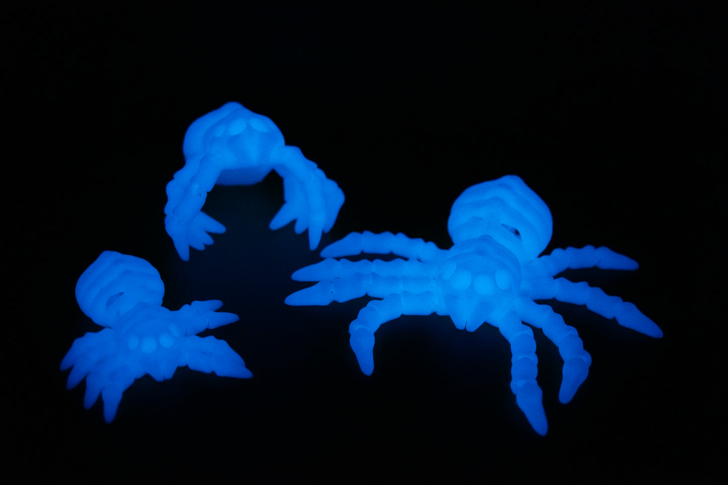 Set Esqueletos Arañas - Brilla en la oscuridad