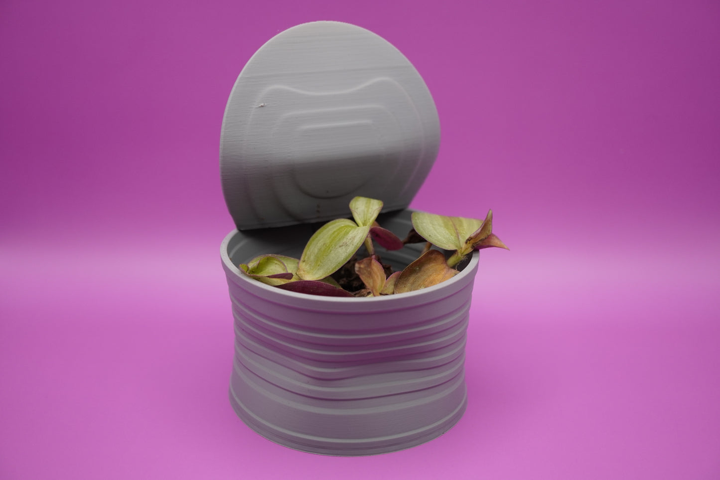 Maceta Lata Atún -  Uso interior