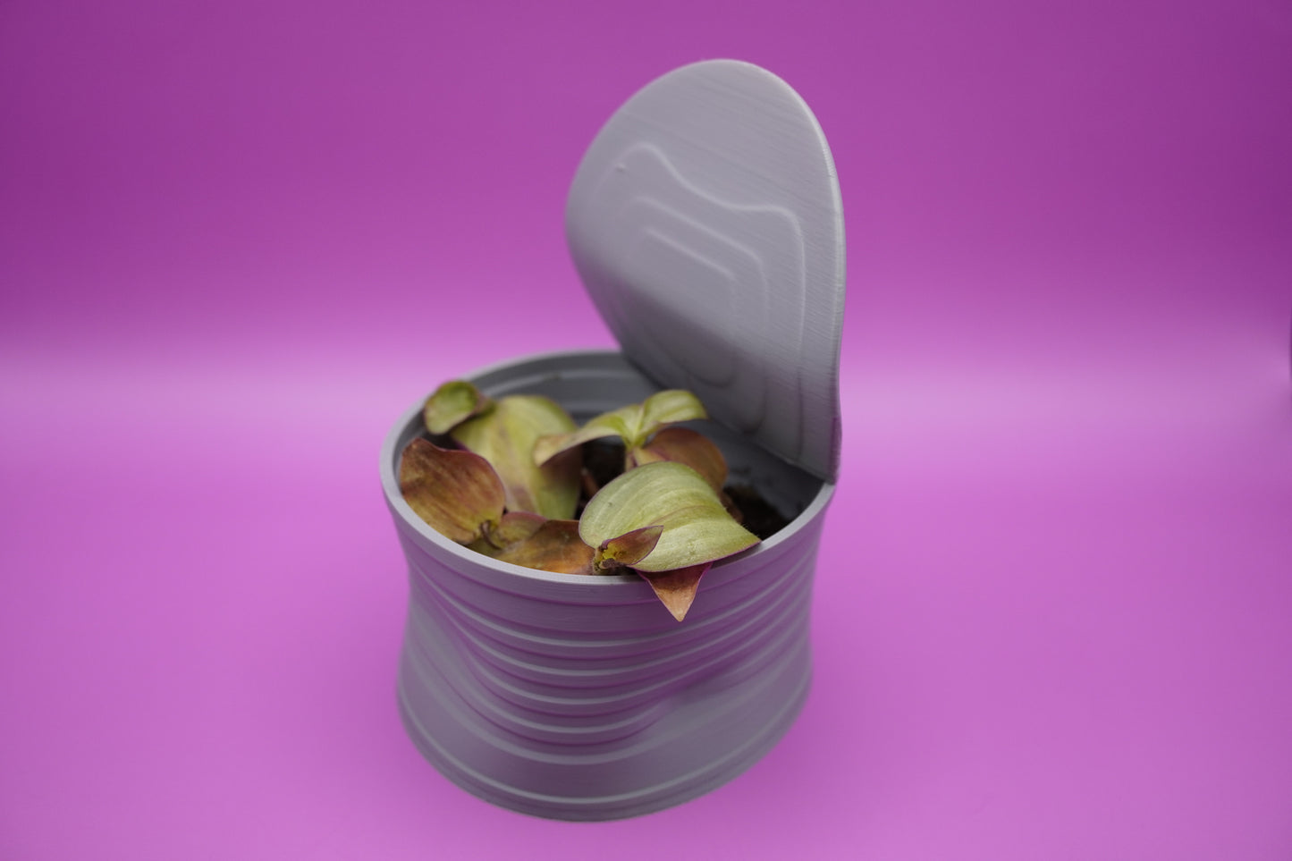 Maceta Lata Atún -  Uso interior