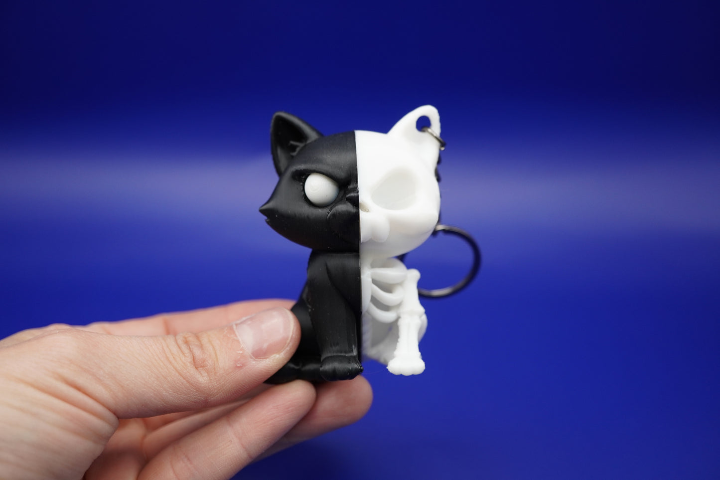 Gato Esqueleto - para los creepy lovers!