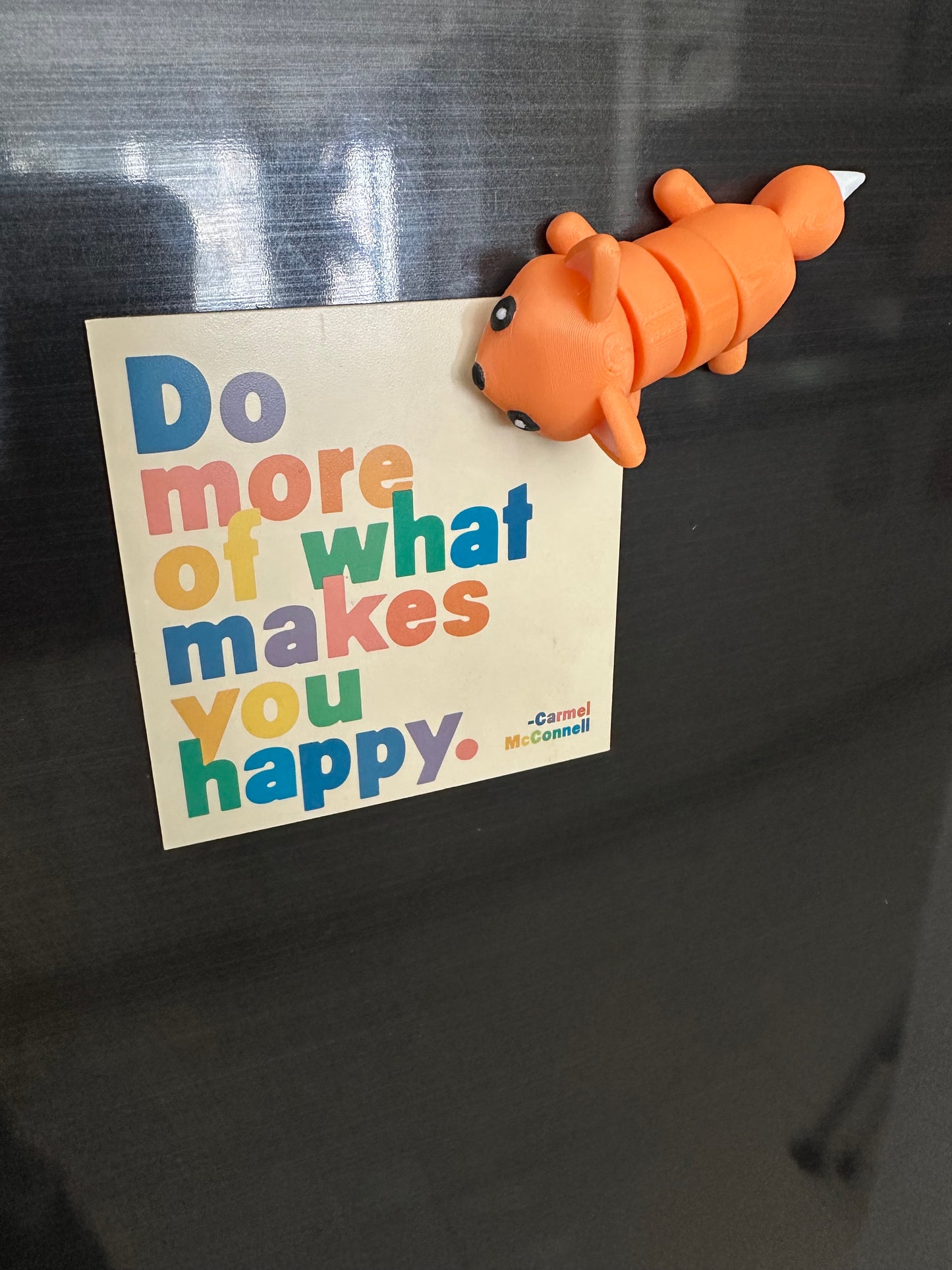 Zuri El Zorro Magneto