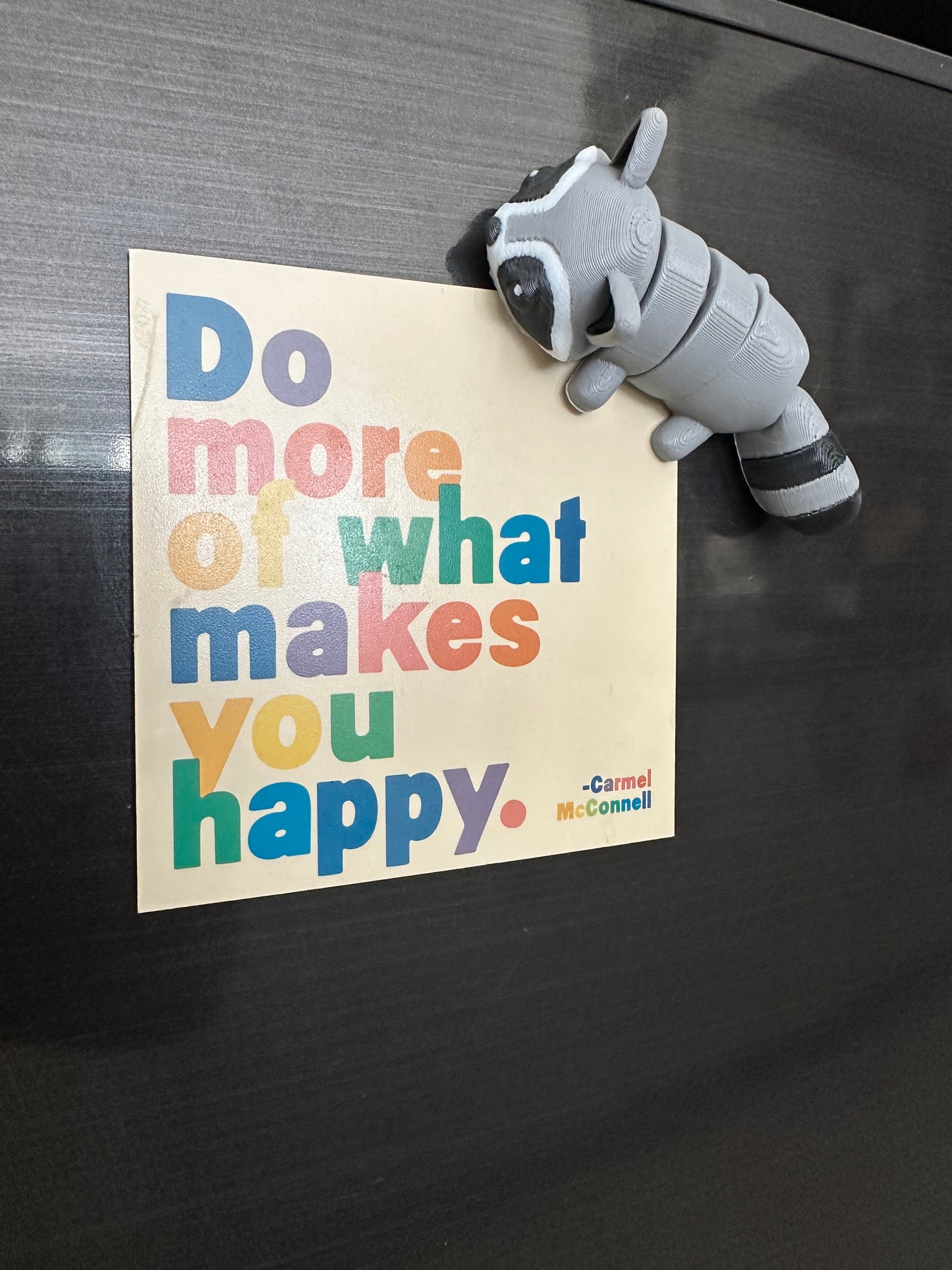 Rocket El Mapache Magneto