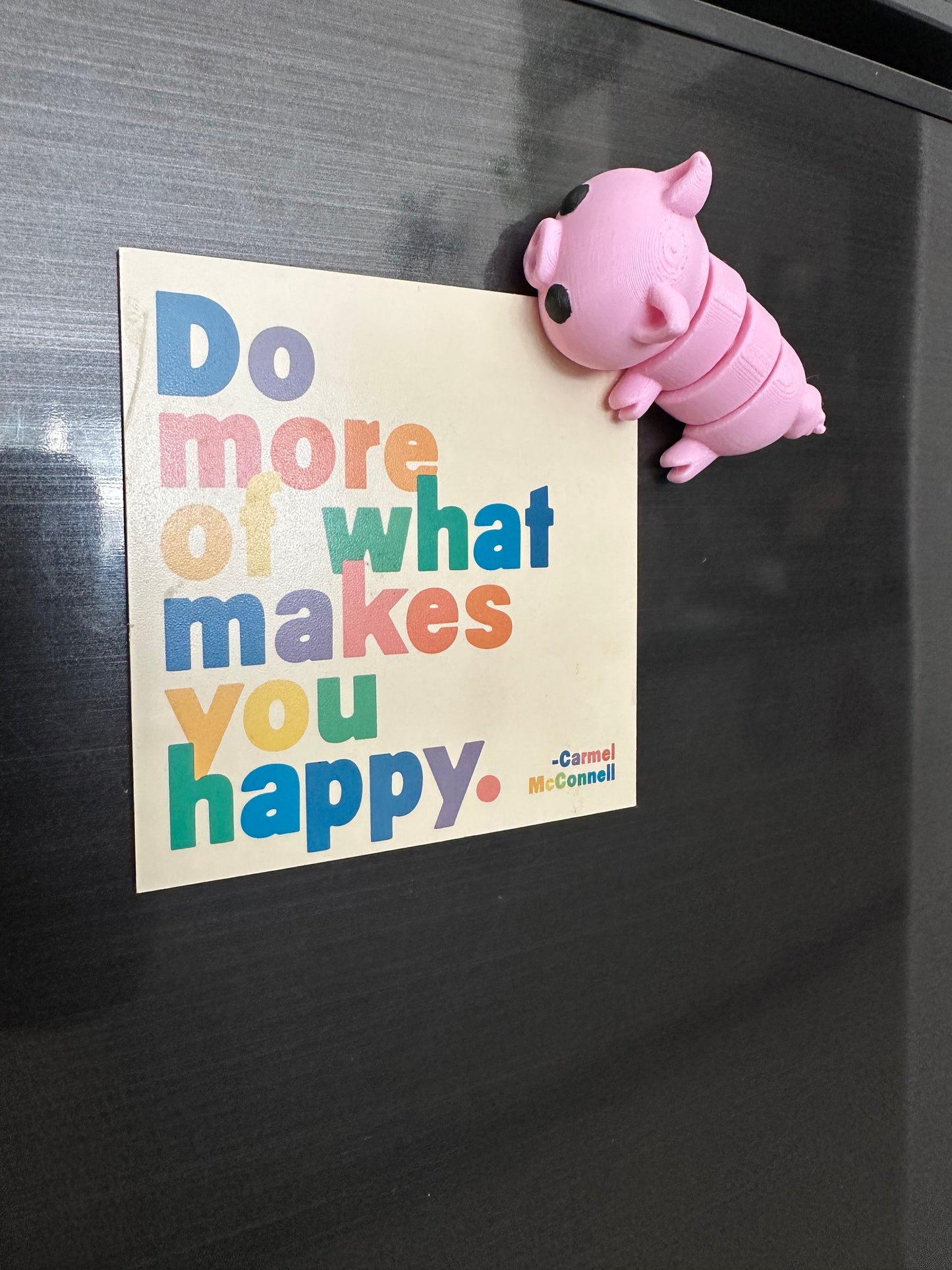 Bruce El Cerdo Magneto