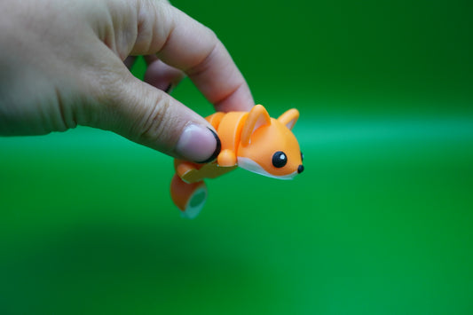 Zuri El Zorro Magneto