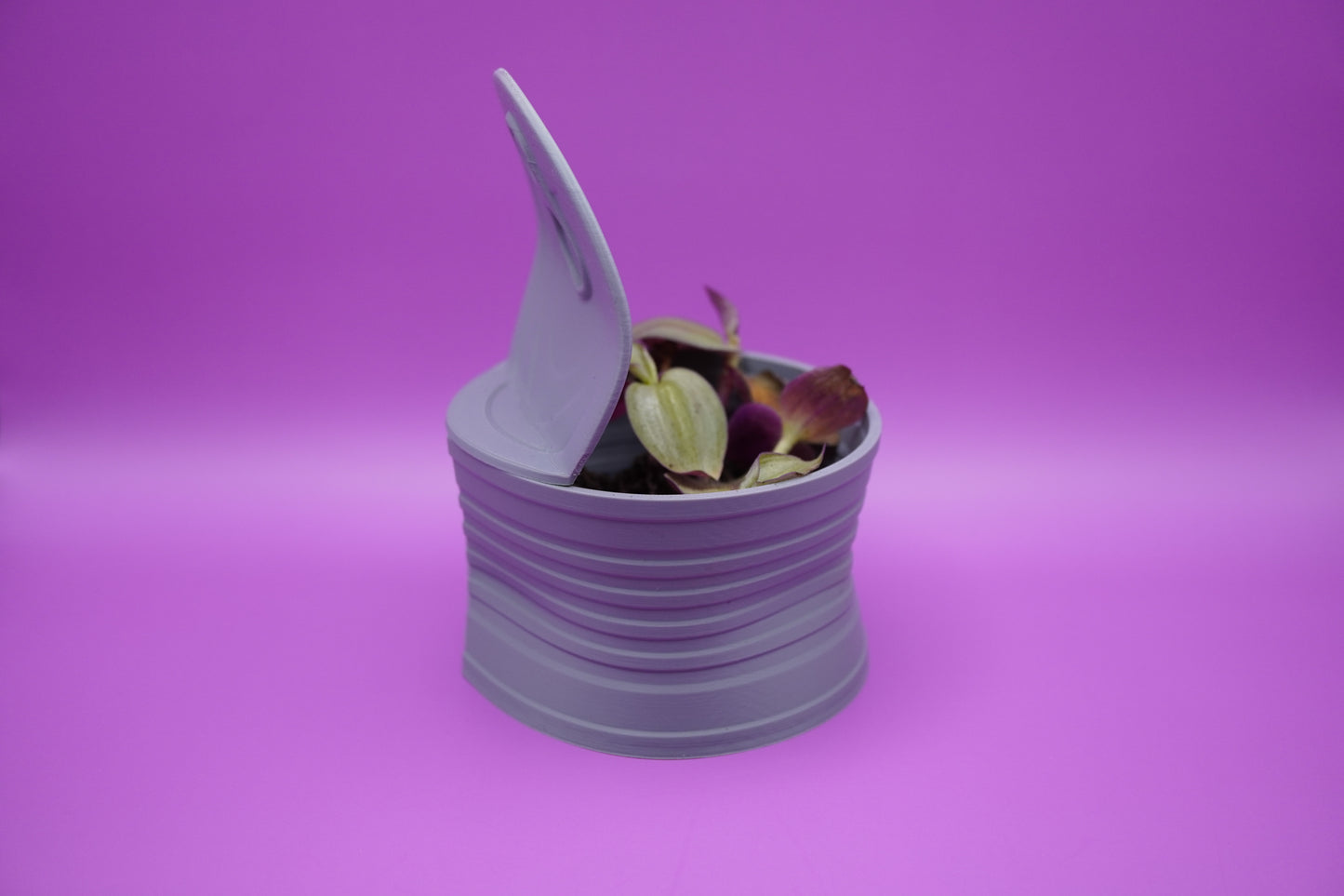 Maceta Lata Atún -  Uso interior