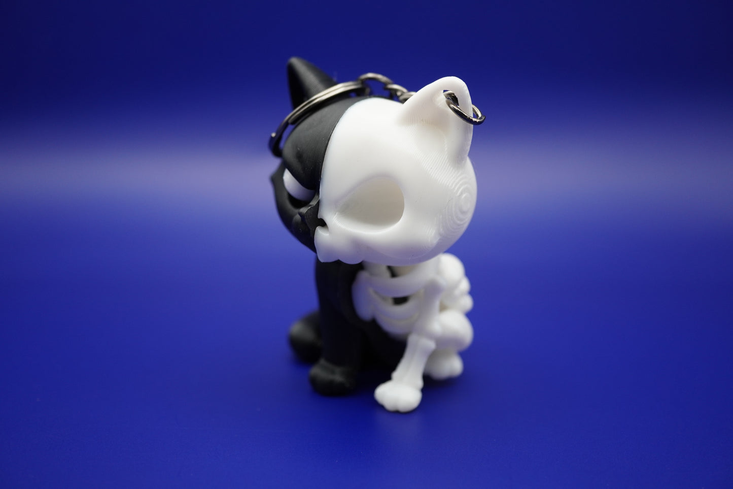 Gato Esqueleto - para los creepy lovers!