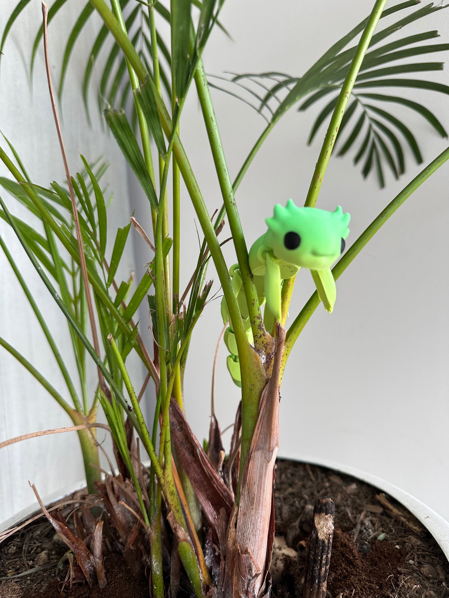 Jacinto El Ajolote - Articulado