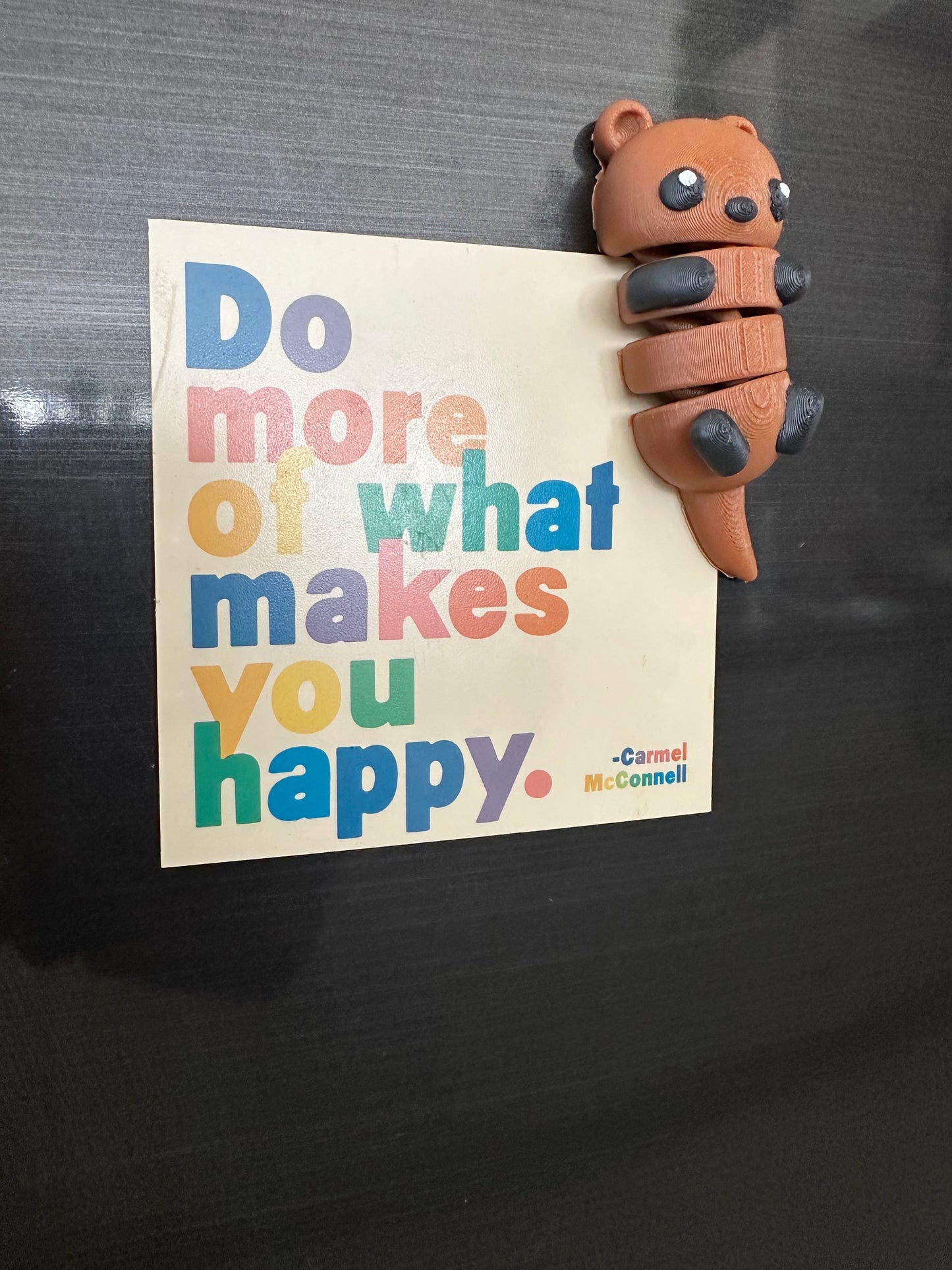 Nuri La Nutria Magento