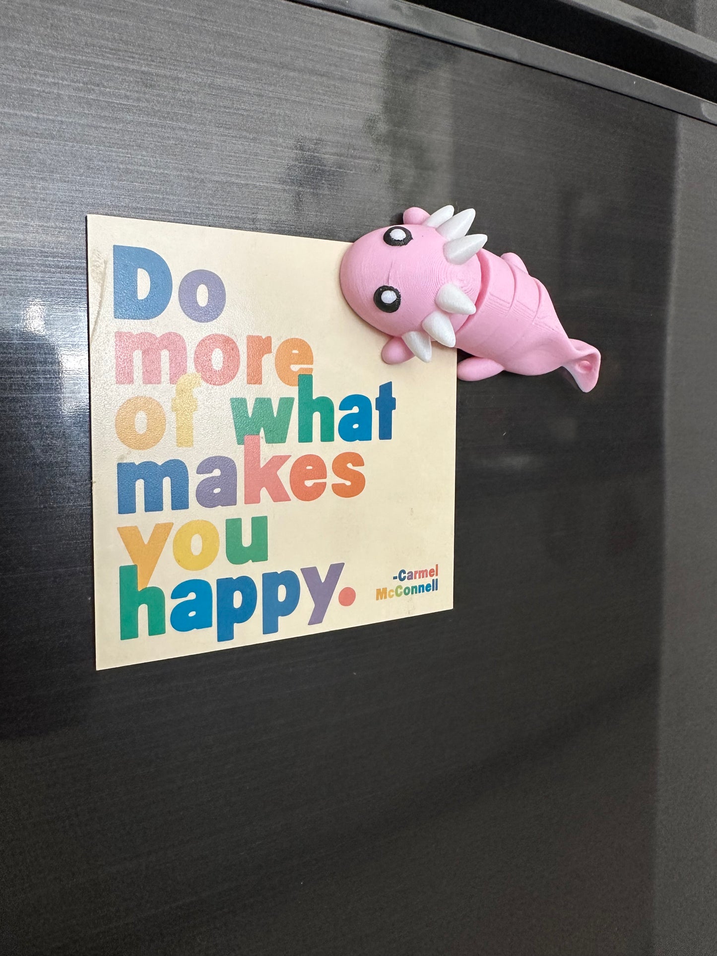 Xochi El Ajolote Magneto